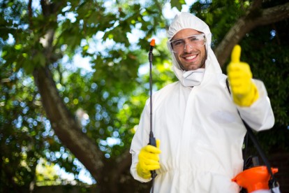Bug Control, Pest Control in Sunbury-on-Thames, TW16. Call Now 020 8166 9746