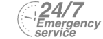 24/7 Emergency Service Pest Control in Sunbury-on-Thames, TW16. Call Now! 020 8166 9746