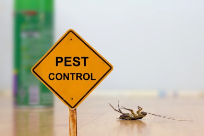 Pest Contol in Sunbury-on-Thames, TW16. Call Now 020 8166 9746