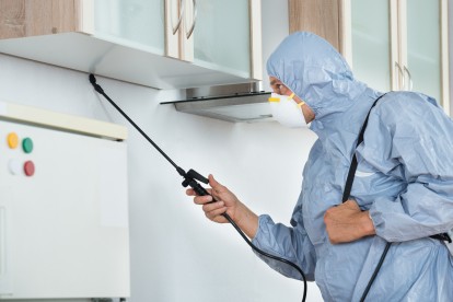 Home Pest Control, Pest Control in Sunbury-on-Thames, TW16. Call Now 020 8166 9746